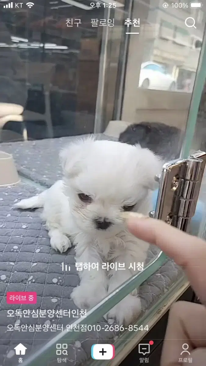 응애말서살